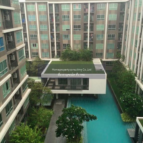 Dcondo Sukhumvit 109