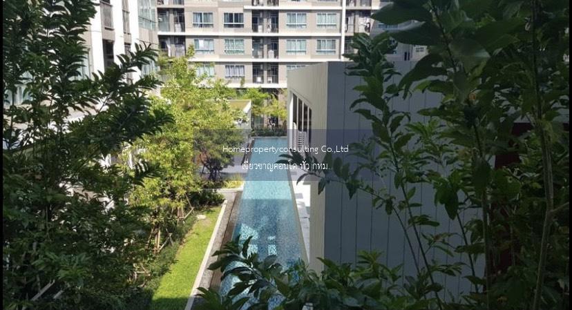 Dcondo Sukhumvit 109