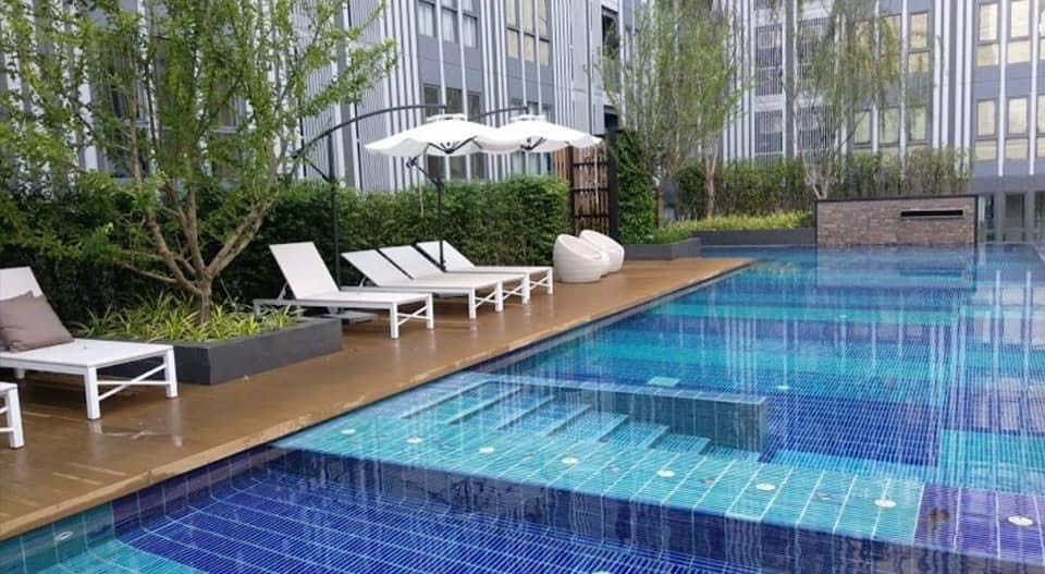 Condo for rent : Monique Sukhumvit 64