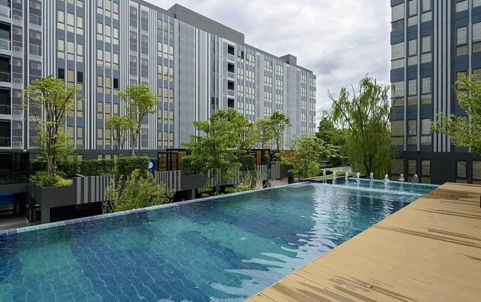 Condo for rent : Monique Sukhumvit 64