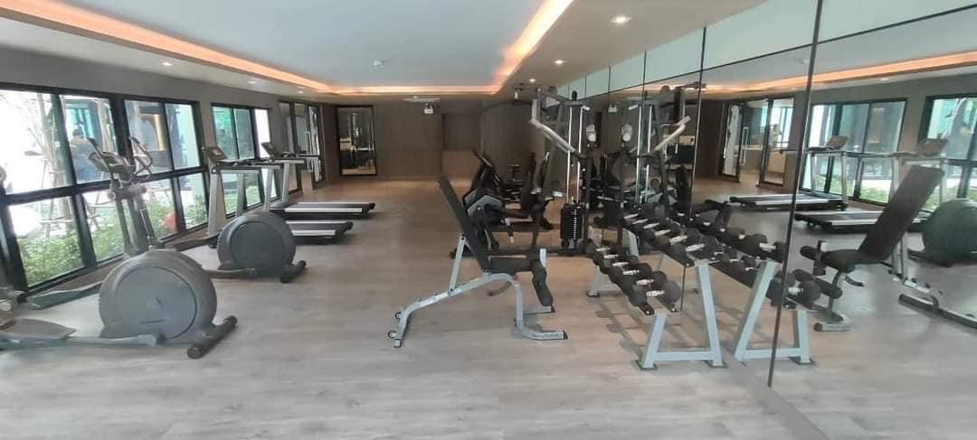 Condo for rent : Monte Rama 9