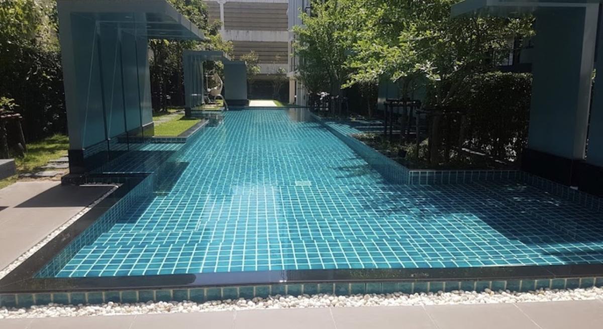 Chateau In Town Sukhumvit 64/1 (ชาโตว์ อินทาวน์ สุขุมวิท 64/1)