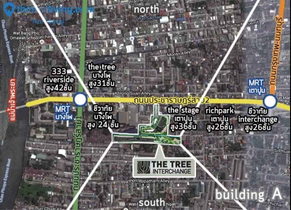 The Tree Interchange (เดอะ ทรี อินเตอร์เชนจ์)