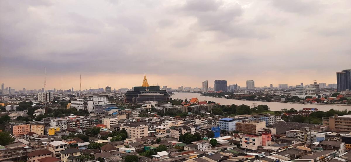 The Tree Interchange (เดอะ ทรี อินเตอร์เชนจ์)