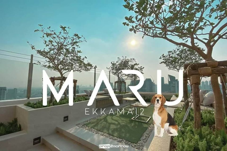 Maru Ekkamai 2 (มารุ เอกมัย 2)