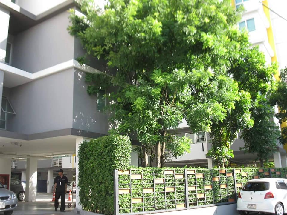 My Condo Sukhumvit 52 (มายคอนโด สุขุมวิท 52)