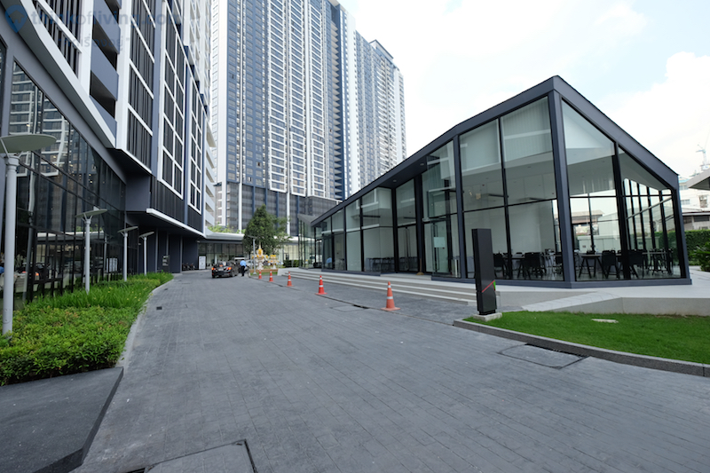 The Tree Interchange (เดอะ ทรี อินเตอร์เชนจ์)